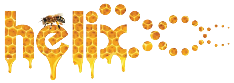 American helix Logo